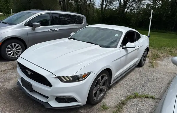 1FA6P8AM6G5336289 2016 FORD MUSTANG - Image 2