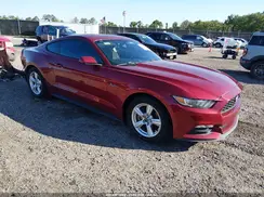 1FA6P8AM6H5202450 2017 FORD MUSTANG