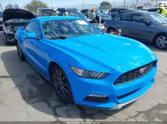 1FA6P8AM6H5203596 2017 FORD MUSTANG