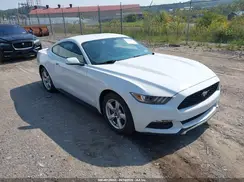 1FA6P8AM6H5209205 2017 FORD MUSTANG