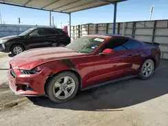 1FA6P8AM6H5219961 2017 FORD MUSTANG