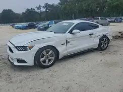 1FA6P8AM6H5230300 2017 FORD MUSTANG