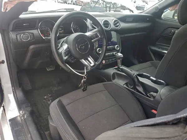 1FA6P8AM6H5230300 2017 FORD MUSTANG - Image 8