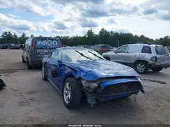 1FA6P8AM6H5234718 2017 FORD MUSTANG