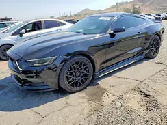 1FA6P8AM6H5235447 2017 FORD MUSTANG