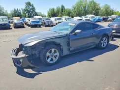 1FA6P8AM6H5237490 2017 FORD MUSTANG