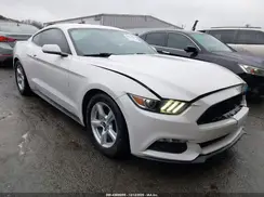 1FA6P8AM6H5238364 2017 FORD MUSTANG