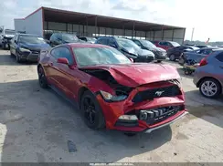 1FA6P8AM6H5244679 2017 FORD MUSTANG