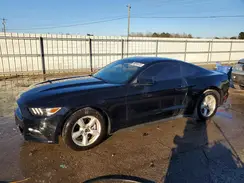 1FA6P8AM6H5246531 2017 FORD MUSTANG