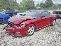 1FA6P8AM6H5246562 2017 FORD MUSTANG