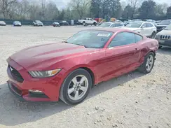 1FA6P8AM6H5249333 2017 FORD MUSTANG