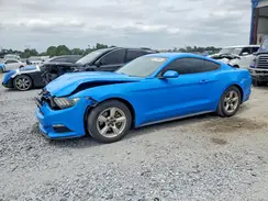 1FA6P8AM6H5249347 2017 FORD MUSTANG