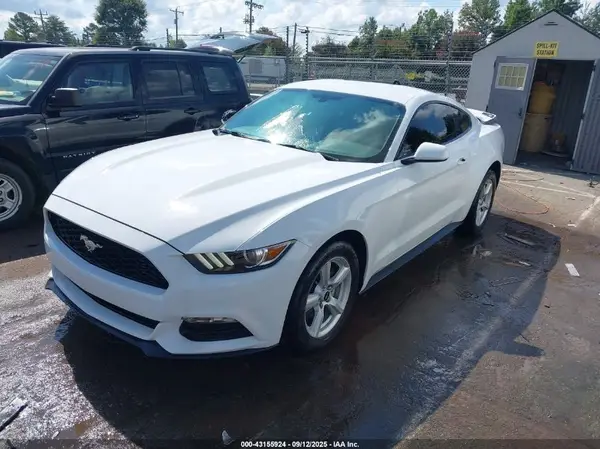 1FA6P8AM6H5259084 2017 FORD MUSTANG - Image 2