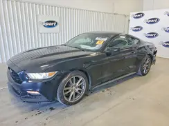1FA6P8AM6H5264799 2017 FORD MUSTANG