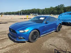 1FA6P8AM6H5275527 2017 FORD MUSTANG