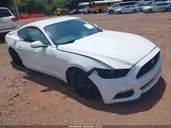 1FA6P8AM6H5280596 2017 FORD MUSTANG