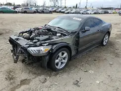 1FA6P8AM6H5287032 2017 FORD MUSTANG