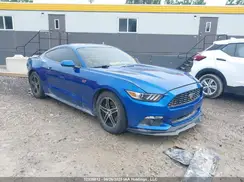 1FA6P8AM6H5294482 2017 FORD MUSTANG