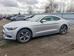 1FA6P8AM6H5303598 2017 FORD MUSTANG