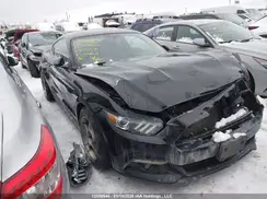 1FA6P8AM6H5303729 2017 FORD MUSTANG