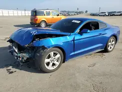 1FA6P8AM6H5307019 2017 FORD MUSTANG