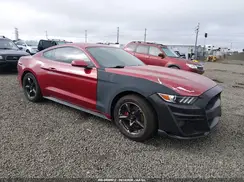 1FA6P8AM6H5310101 2017 FORD MUSTANG