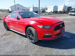 1FA6P8AM6H5322586 2017 FORD MUSTANG