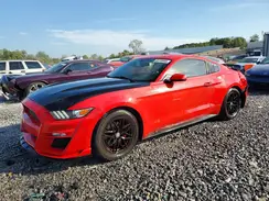 1FA6P8AM6H5328520 2017 FORD MUSTANG