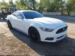 1FA6P8AM6H5336200 2017 FORD MUSTANG