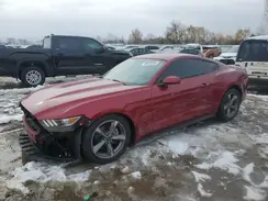 1FA6P8AM6H5337590 2017 FORD MUSTANG