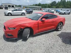 1FA6P8AM6H5339131 2017 FORD MUSTANG