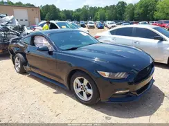 1FA6P8AM6H5342594 2017 FORD MUSTANG