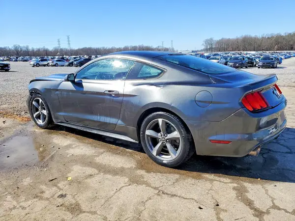 1FA6P8AM7G5218722 2016 FORD MUSTANG - Image 2