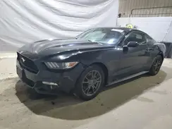 1FA6P8AM7G5223371 2016 FORD MUSTANG