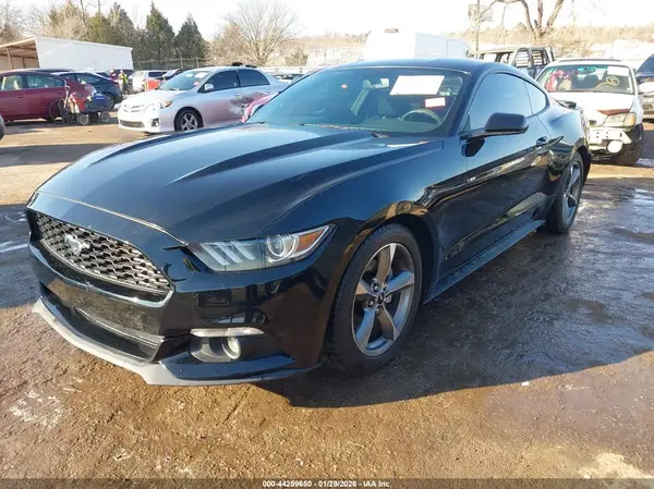 1FA6P8AM7G5227050 2016 FORD MUSTANG - Image 2