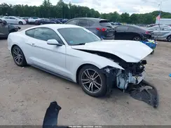 1FA6P8AM7G5277124 2016 FORD MUSTANG