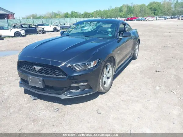 1FA6P8AM7G5330758 2016 FORD MUSTANG - Image 2