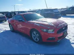 1FA6P8AM7H5219130 2017 FORD MUSTANG