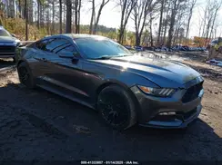 1FA6P8AM7H5219483 2017 FORD MUSTANG