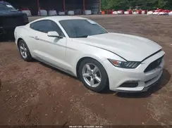 1FA6P8AM7H5219578 2017 FORD MUSTANG
