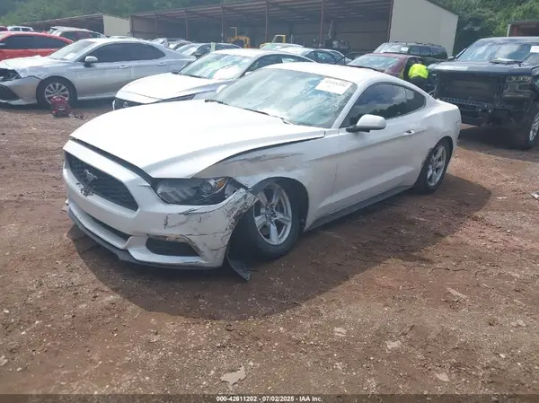1FA6P8AM7H5219578 2017 FORD MUSTANG - Image 2