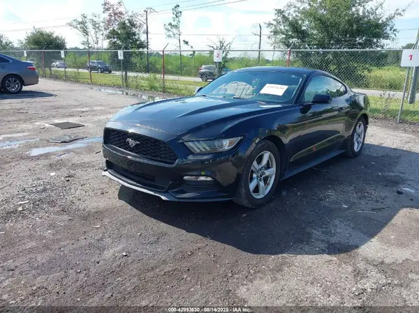 1FA6P8AM7H5226594 2017 FORD MUSTANG - Image 2