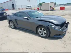 1FA6P8AM7H5236977 2017 FORD MUSTANG