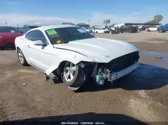 1FA6P8AM7H5265069 2017 FORD MUSTANG