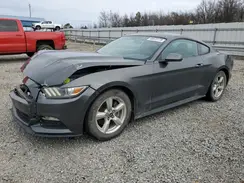 1FA6P8AM7H5289484 2017 FORD MUSTANG