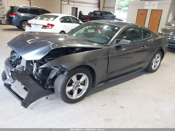 1FA6P8AM7H5301231 2017 FORD MUSTANG - Image 2
