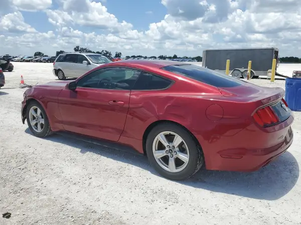 1FA6P8AM7H5305196 2017 FORD MUSTANG - Image 2