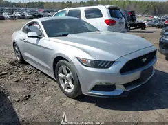 1FA6P8AM7H5305604 2017 FORD MUSTANG
