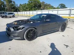 1FA6P8AM7H5309068 2017 FORD MUSTANG