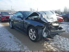 1FA6P8AM7H5309443 2017 FORD MUSTANG